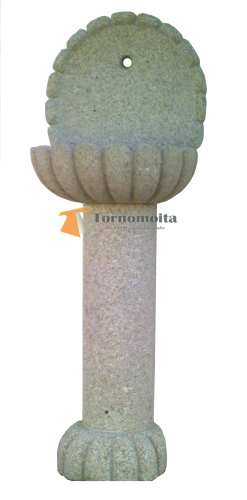 FT20GR